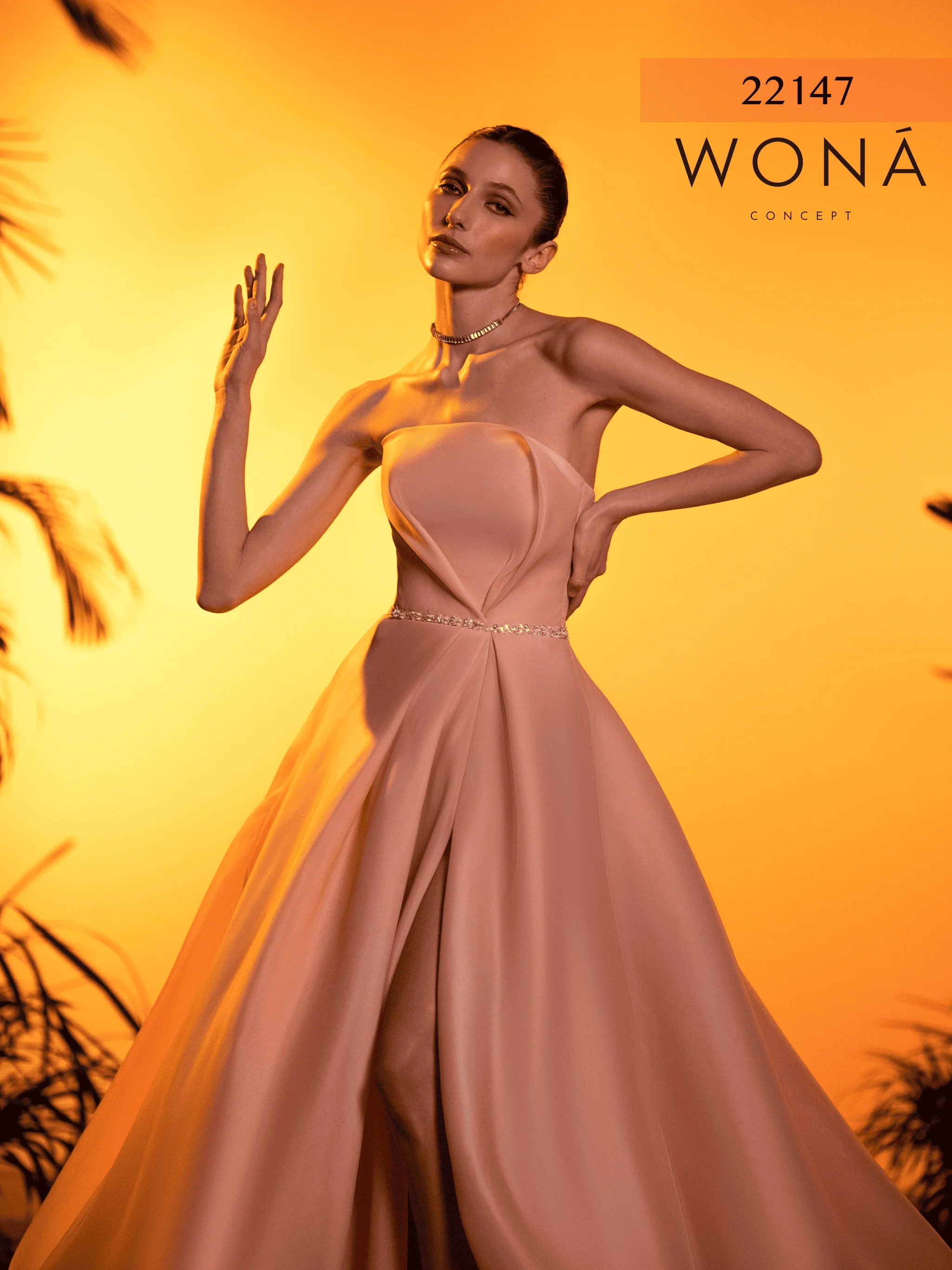 Wona Concept 059